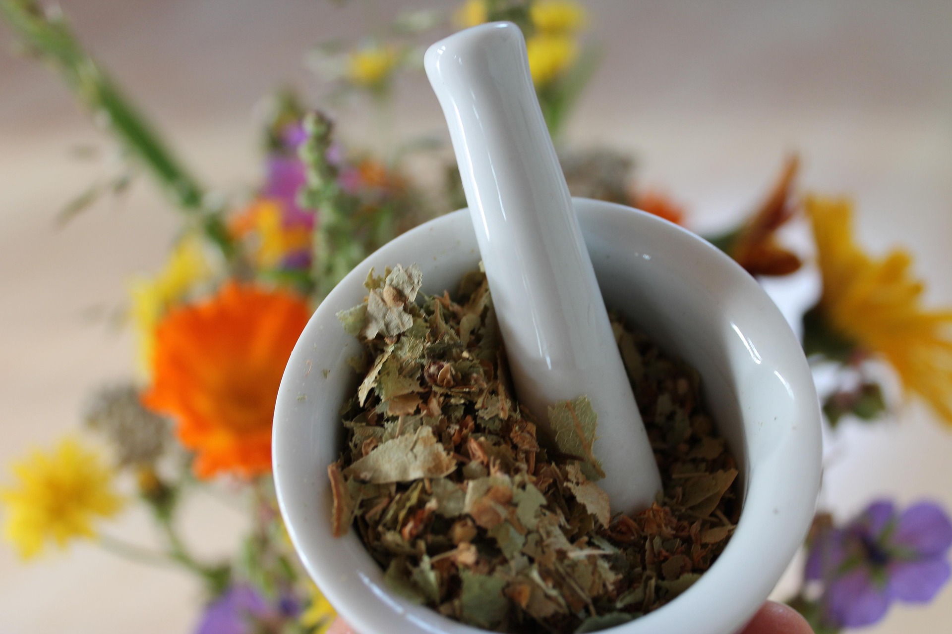 Les bienfaits de la naturopathie : une approche naturelle pour renforcer votre santé globale